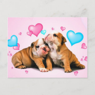 Cartão Postal Amor Animal