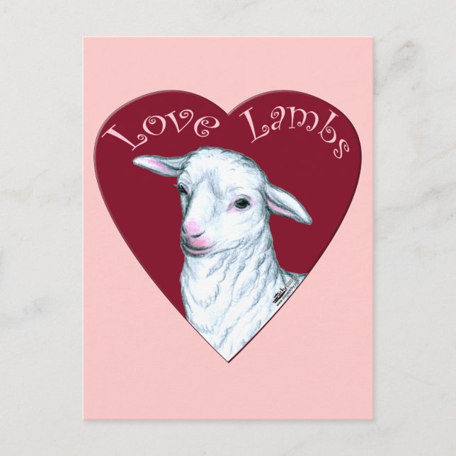 Cartão Postal Amor Cordeiros (Frente)