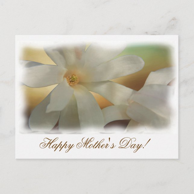 Cartão Postal Amor da Mãe (Frente)