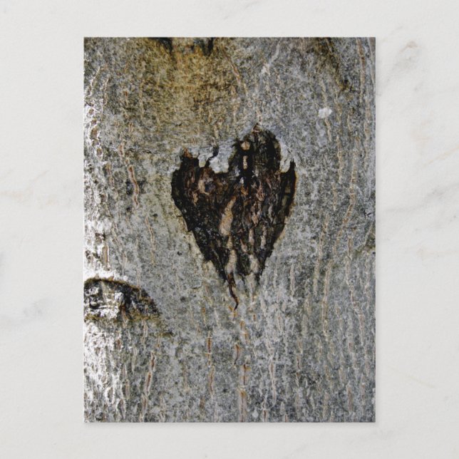 Cartão Postal Amor da Natureza (Frente)