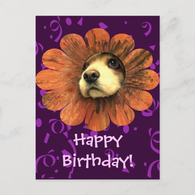 Cartão Postal Amor de Cachorrinho Espiando de uma Flor (Frente)