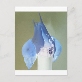 Cartão Postal Amor de caracol