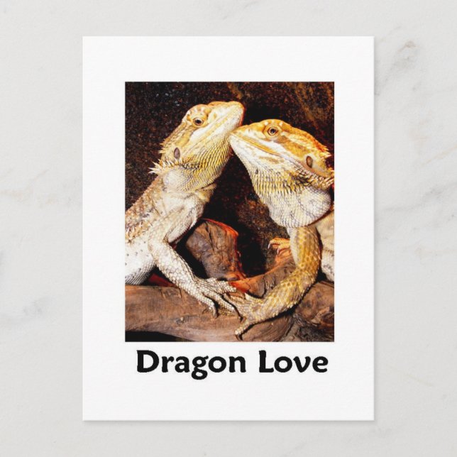 Cartão Postal amor de dragão (Frente)