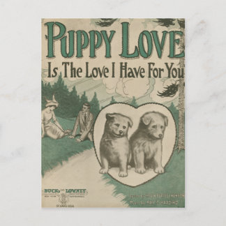 Cartão Postal Amor de filhote de cachorro