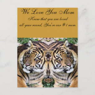 Cartão Postal Amor de Mãe_