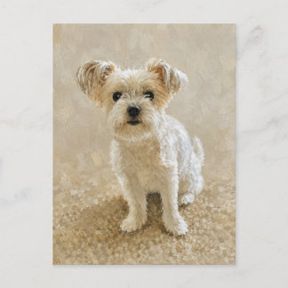 Cartão Postal Amor de Morkie