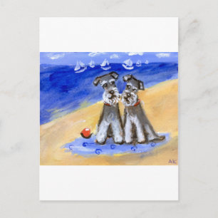 Cartão Postal Amor de praia Schnauzer