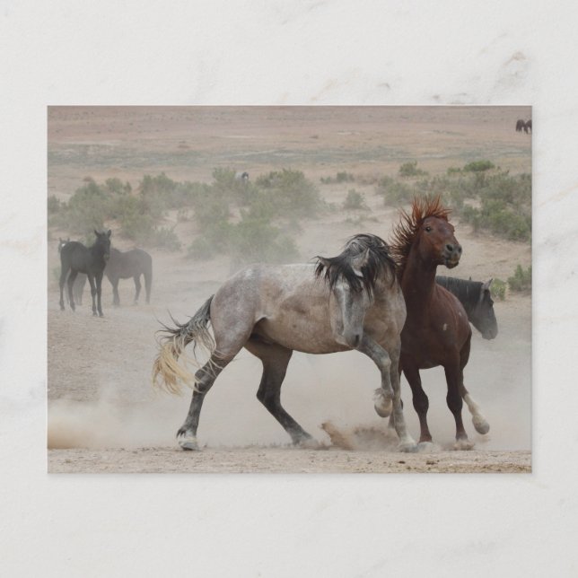 Cartão Postal Amor Difícil (Frente)