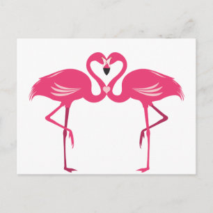 Cartão Postal Amor do flamingo