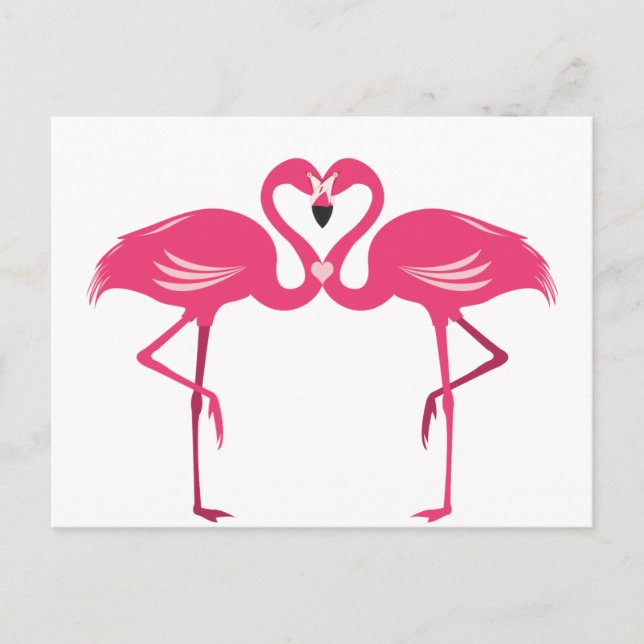 Cartão Postal Amor do flamingo (Frente)