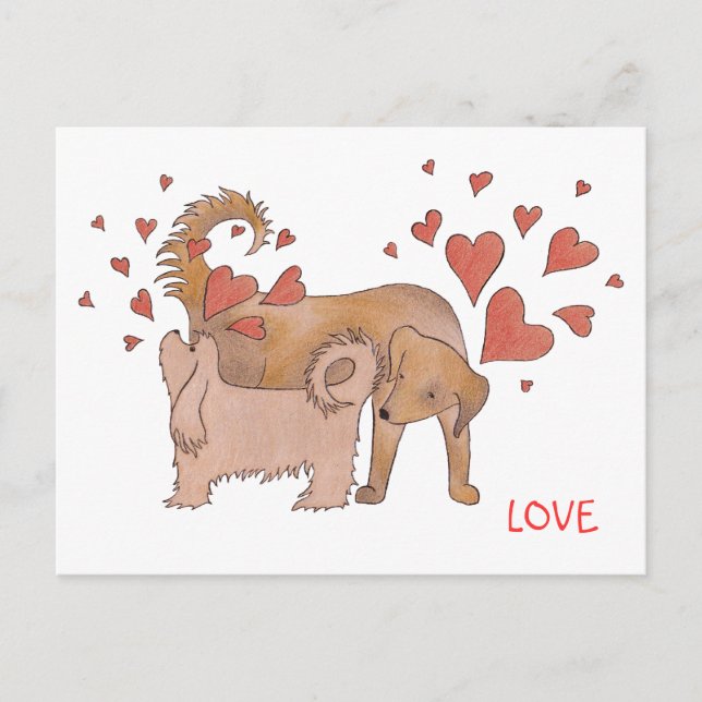 Cartão Postal Amor dos Cães (Frente)