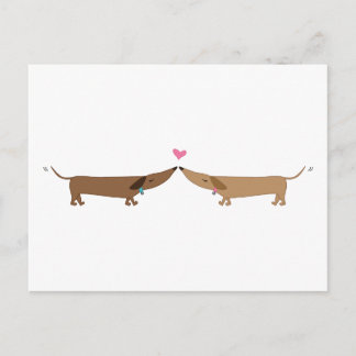 Cartão Postal amor doxie