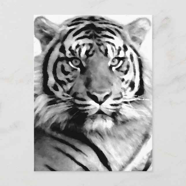 Cartão Postal Amor e Coragem (Frente)