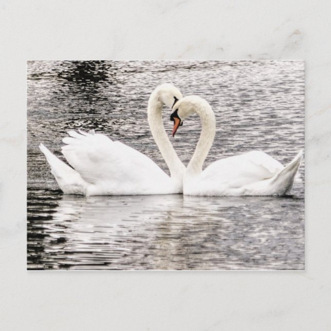 Cartão Postal Amor eterno (Frente)