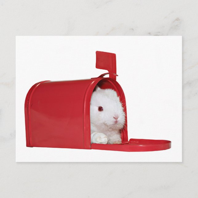 Cartão Postal Amor no correio (Frente)