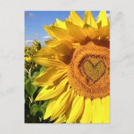 Cartão Postal Amor nos Sunflower