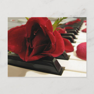 Cartão Postal Amor Rosa vermelha Romântico