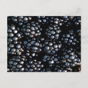 Cartão Postal Amoras