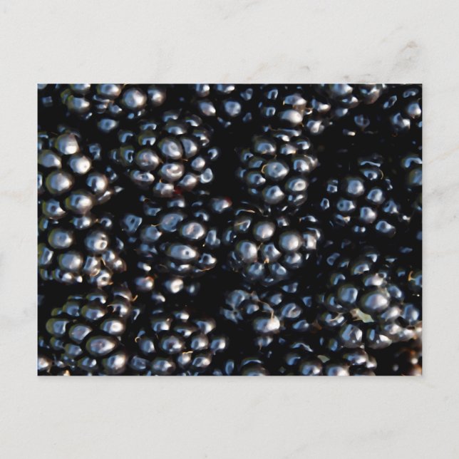 Cartão Postal Amoras (Frente)