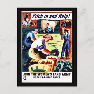 Cartão Postal Ampliar E Ajudar