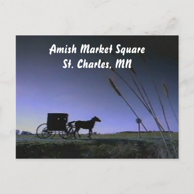 CARTÃO POSTAL AMS (Frente)