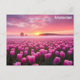 Cartão Postal Amsterdã Holanda Tulips Viagem Foto