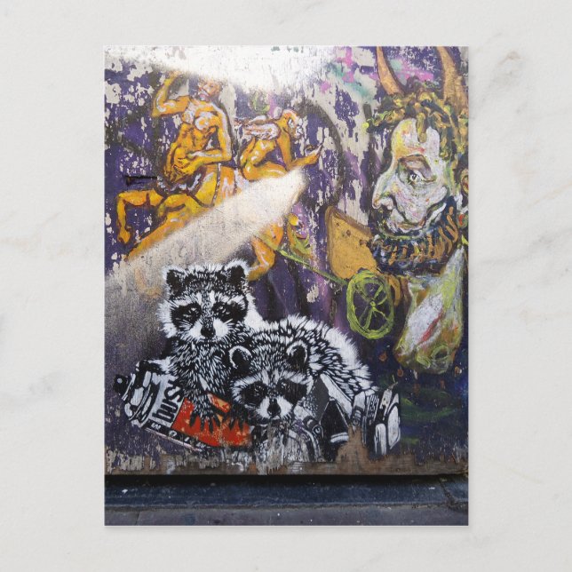 Cartão Postal Amsterdam Grafite Street Art Nr. 1 - Raccoon (Frente)