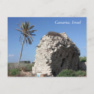 Cartão Postal An ancient wall with a Palm tree, Caesarea, Israel