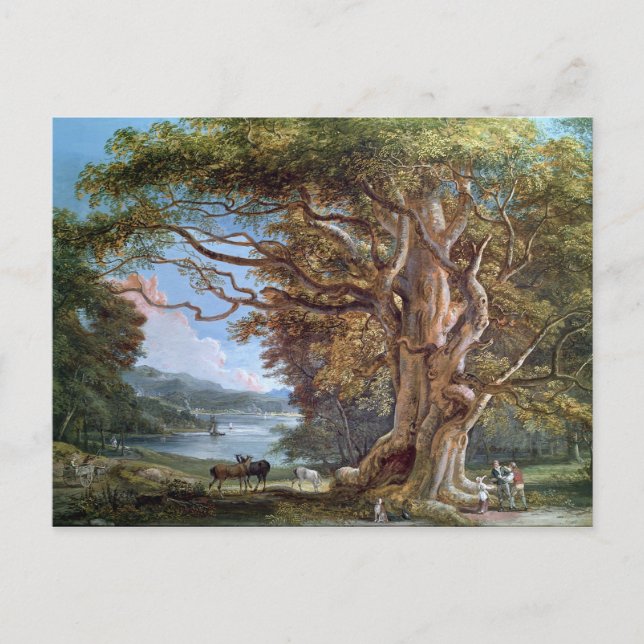 Cartão Postal An Antiga Beech Tree, 1794 (óleo na canvas) (Frente)
