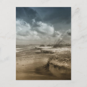 Cartão Postal Anastasia 2