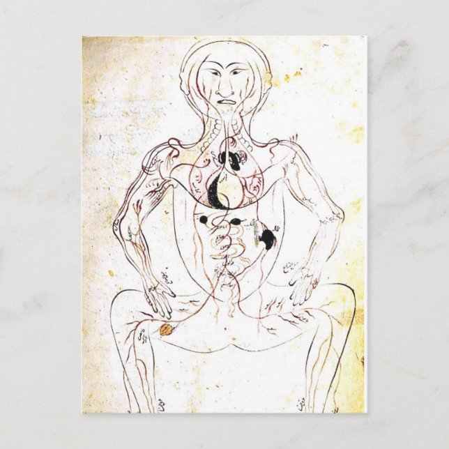 Cartão Postal Anatomia dianteira médica persa do século XIII do (Frente)