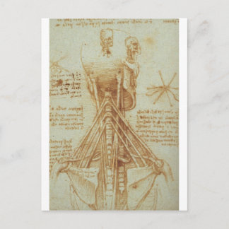 Cartão Postal Anatomia do Pescoço por Leonardo Da Vinci c. 1515