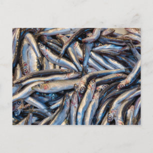 Cartão Postal Anchovies