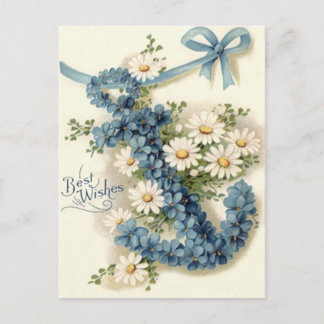 Cartão Postal Âncora Daisy Não-Me-Esqueças (Frente)