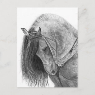 Cartão Postal Andaluz