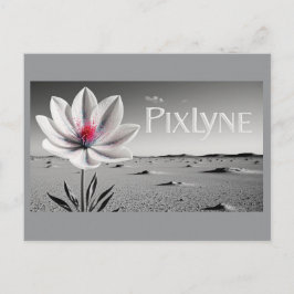 Cartão Postal Andrew Goodchild Post Card