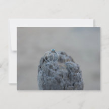 Anéis de casamento na praia