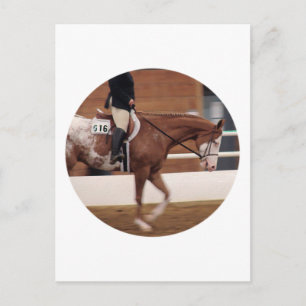 Cartão Postal Anel Inglês