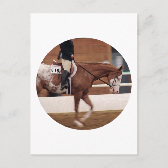 Cartão Postal Anel Inglês (Frente)