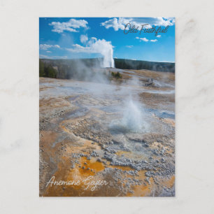 Cartão Postal Anêmona e géiseres Old Faithful em erupção
