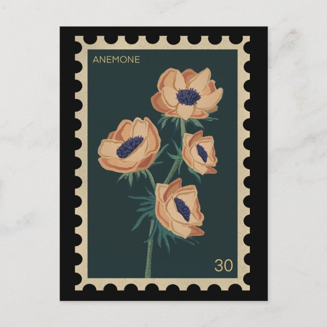 Cartão Postal Anemona Floral Botânica - ventoinha (Frente)