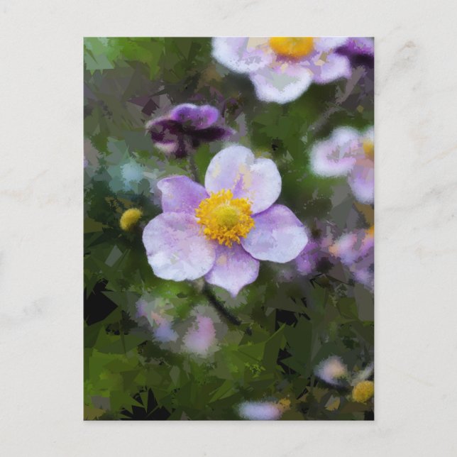 Cartão Postal Anemone (Frente)