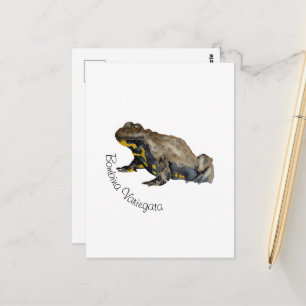 Cartão Postal Anfíbios, Répteis e Insetos Aquarela