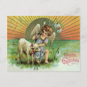 Cartão Postal Angel Cherub Sun Lamb Sheep