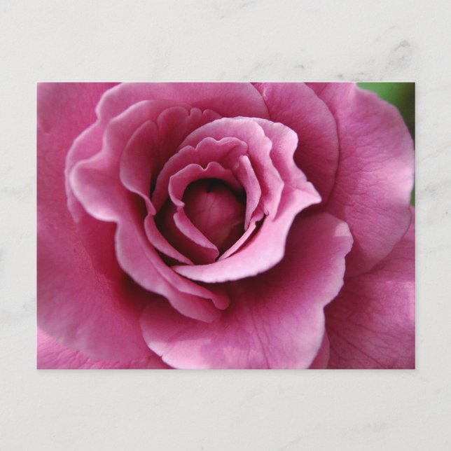 Cartão postal Angel Face II (Frente)