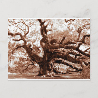 Cartão Postal Angel Oak