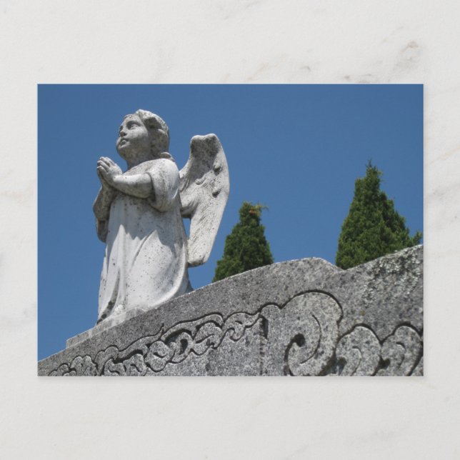 Cartão Postal "Angel Postcard! " (Frente)
