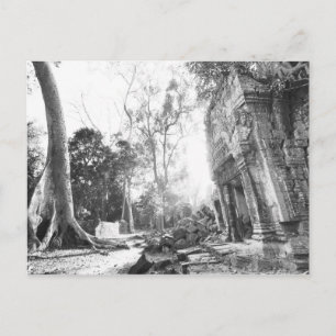 Cartão Postal Angkor Camboja, Detalhes Ta Prohm