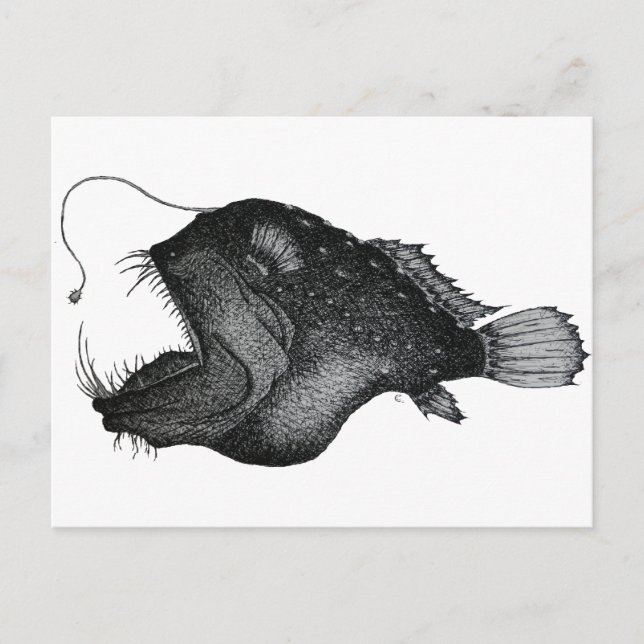 Cartão Postal Anglerfishes (Frente)