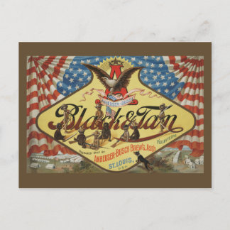Cartão Postal ANHEUSER-BUSH Preto & Tan